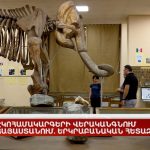 Գորիսում տեղի ունեցած միջադեպի մանրամասները