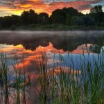 Ալեն Սիմոնյանը պահանջում է բարձրացնել «մեղադրվողների» աշխատավարձը