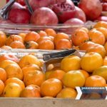 Պետք է ավելի շատ հոգևորականներ ունենալ, որոնք կներկայացնեն Հայաստանը աշխարհում